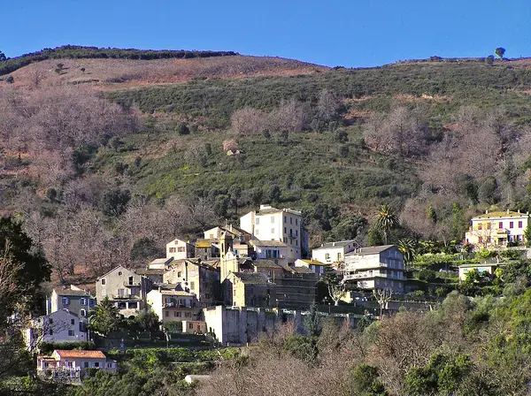 Tôlerie Industrielle Pro Tôlerie fine industrielle Lucciana Tôlerie Industrielle Pro Tôlerie fine industrielle Lucciana